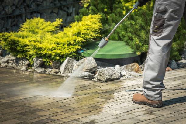 Best Soft Washing  in Arbury Hls, IL
